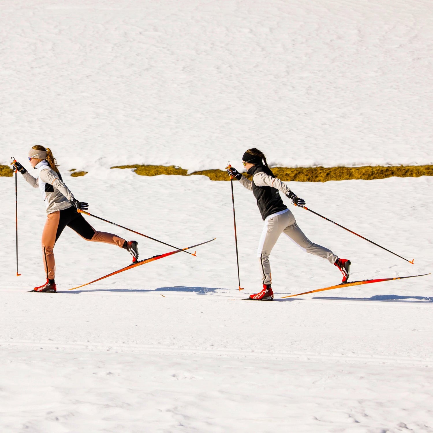 Ski Poles and Pole Parts