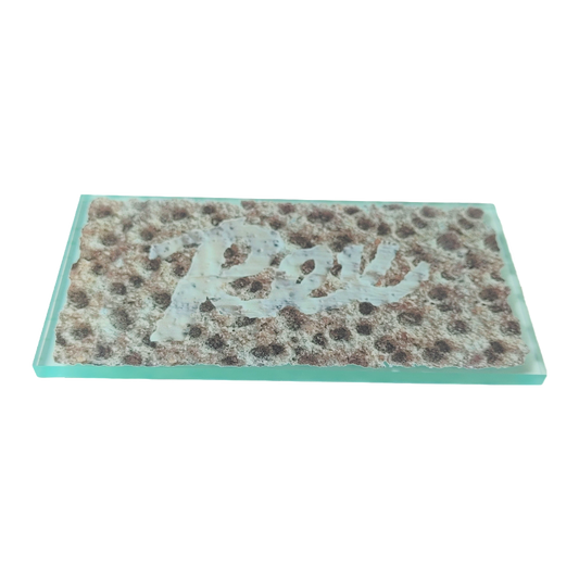 A product picture of the Rex Wax 5mm Crispbread Scraper