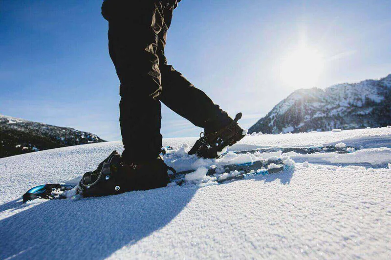 A product picture of the Powder Paws 36" Snowshoes
