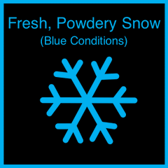 Graphic for the snow type