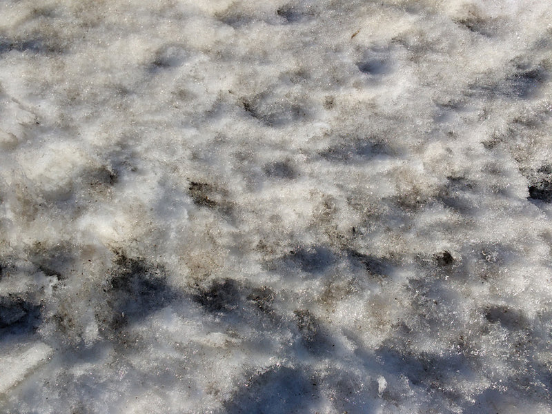 Brown Snow Conditions (Dirty Snow, Any Temperature)