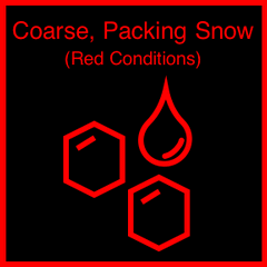 Graphic for the snow type